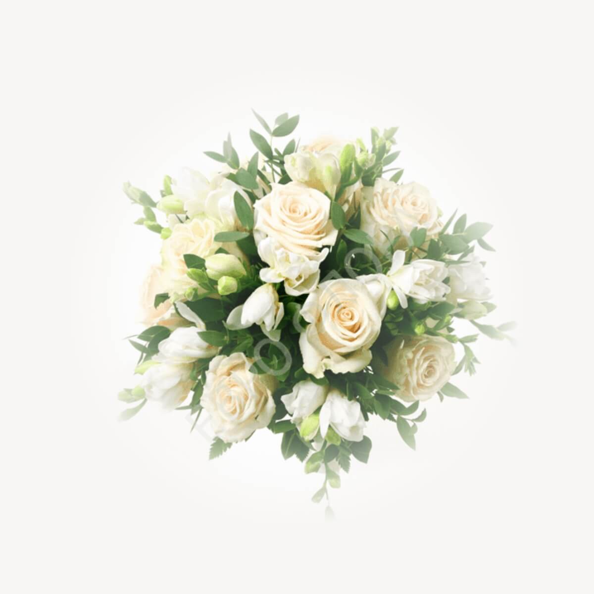 Peaceful Creamy Roses